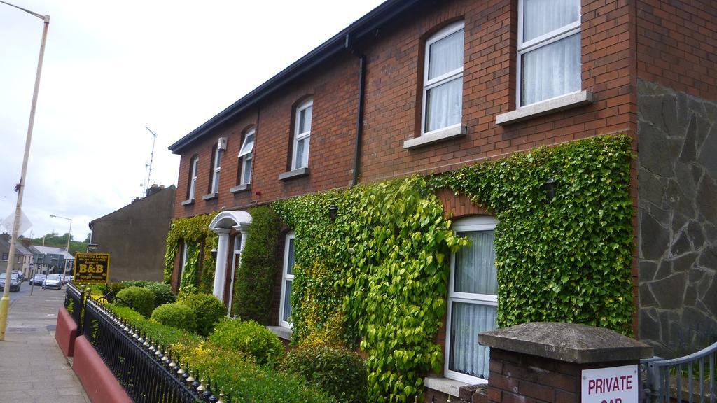 Roseville Lodge B&B Drogheda Dış mekan fotoğraf